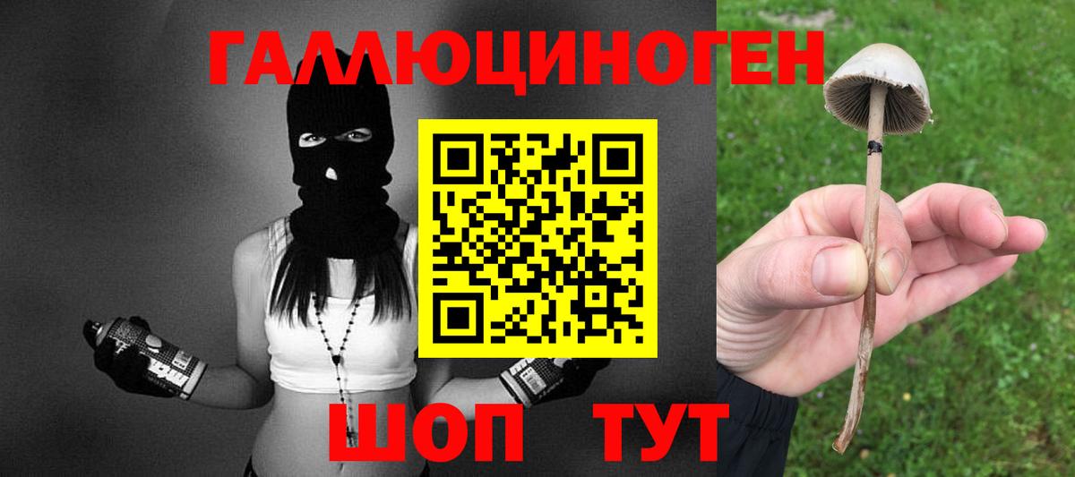 Череповец  Галлюциногенные грибы GOLDEN TEACHER  Вход с VPN 
